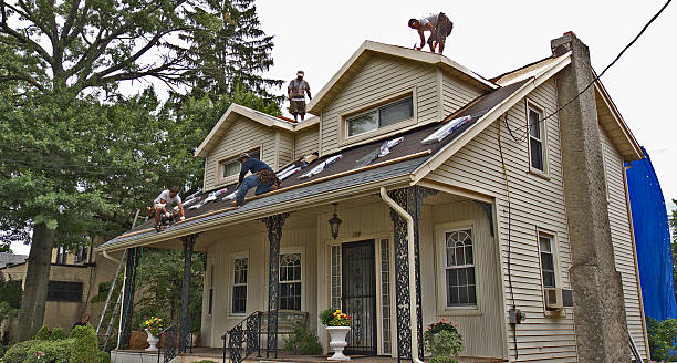 Best Roof Leak Repair  in Greenup, KY