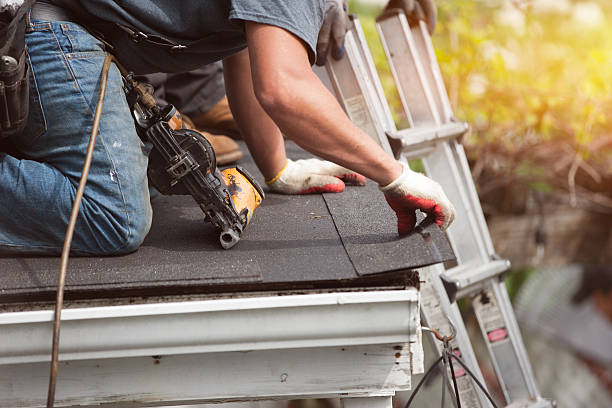 Best Roof Gutter Cleaning  in Greenup, KY